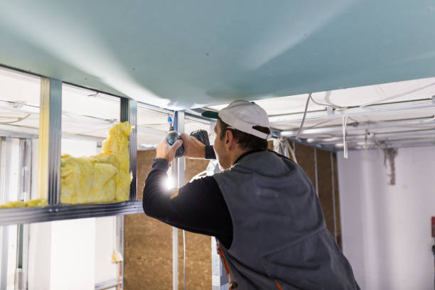 Best Eco-Friendly Insulation in Silverdale, WA